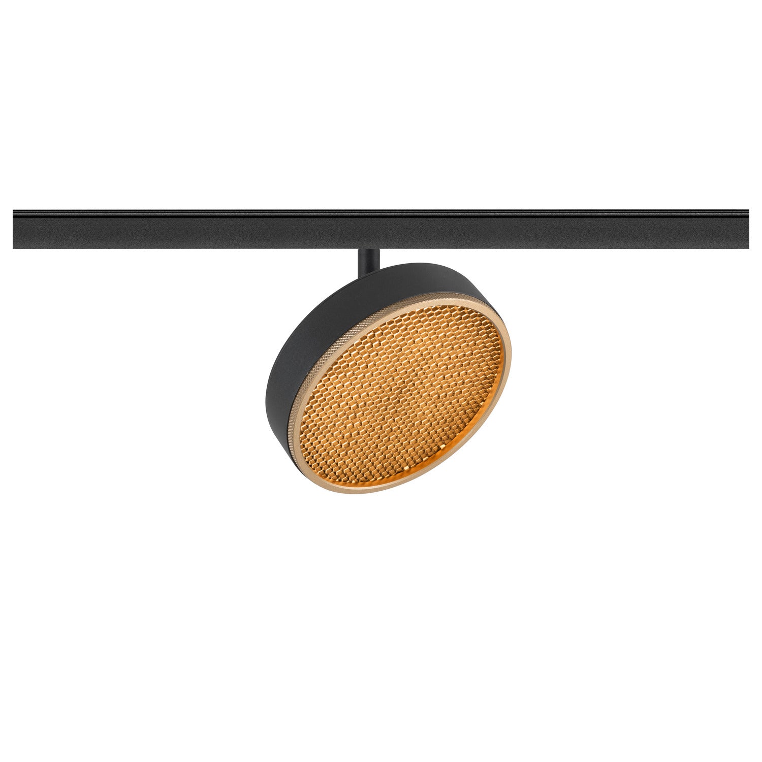 GRIP! FLAT, 48V Spot, DALI, redondo, 2700/3000 K, 14, 5 W, preto / dourado