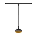 GRIP! FLAT, Candeeiro suspenso 48V, DALI, Comprimento suspenso 200 cm, 2700/3000 K, preto / dourado