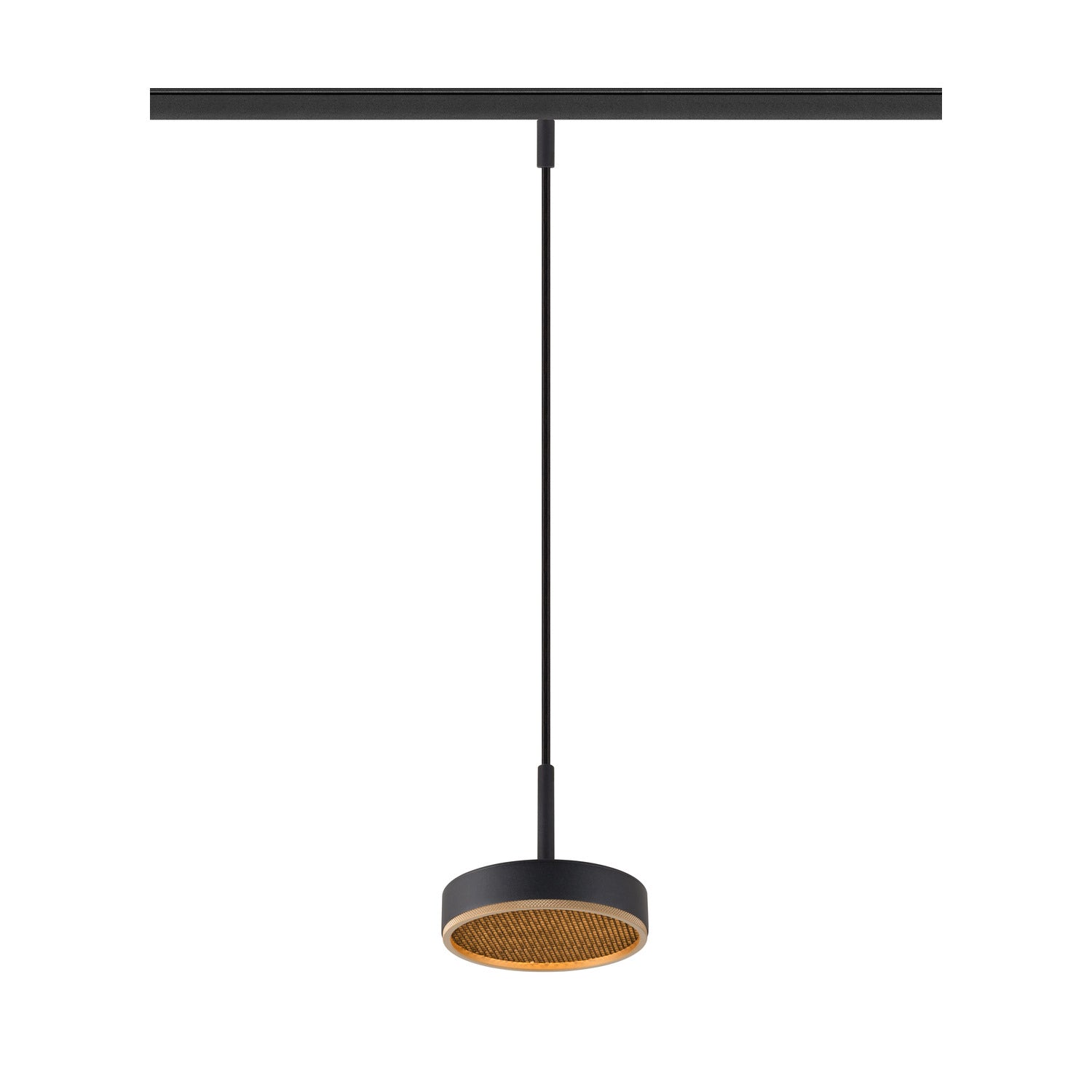 GRIP! FLAT, Candeeiro suspenso 48V, DALI, Comprimento suspenso 200 cm, 2700/3000 K, preto / dourado