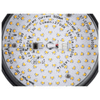 GRIP! FLAT, Candeeiro suspenso 48V, DALI, Comprimento suspenso 200 cm, 2700/3000 K, preto / dourado