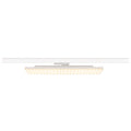 SIGHT PANEL, 3~ Spot, retangular, 3000 K, 38 W, 70°, branco