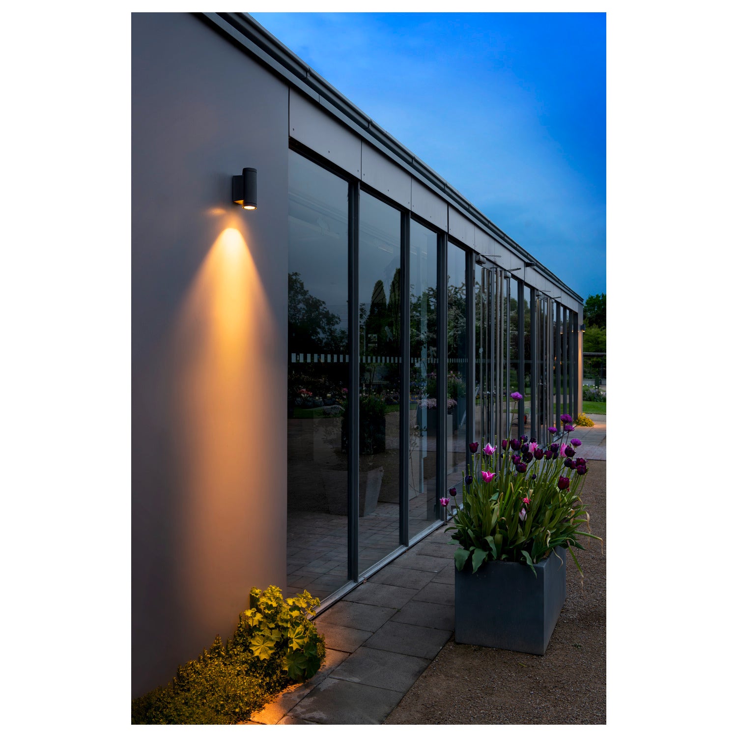 HELIA PRO S, luminária de parede, simples, DALI, P2, cilíndrica, 2700 K, 6 W, 24°, antracite