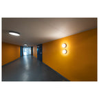 CYFT WAVE XL, luminária de parede e teto, 2700/3000/4000 K, 15 W, PHASE, 105°, IP65 preto / transparente