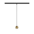 DYSKO, Candeeiro suspenso 48V, DALI, Comprimento suspenso 200 cm, 2700K, 36°, preto / dourado