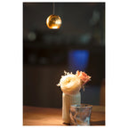 DYSKO, Candeeiro suspenso 48V, DALI, Comprimento suspenso 200 cm, 2700K, 36°, preto / dourado