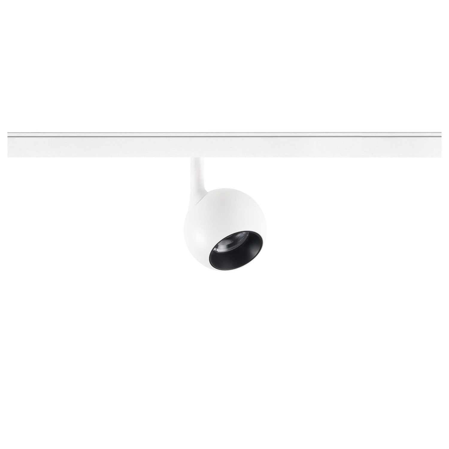 LIGHT EYE® 2.0, Ponto 48V, DALI, redondo, 2700K, 10 W, 30°, branco / preto