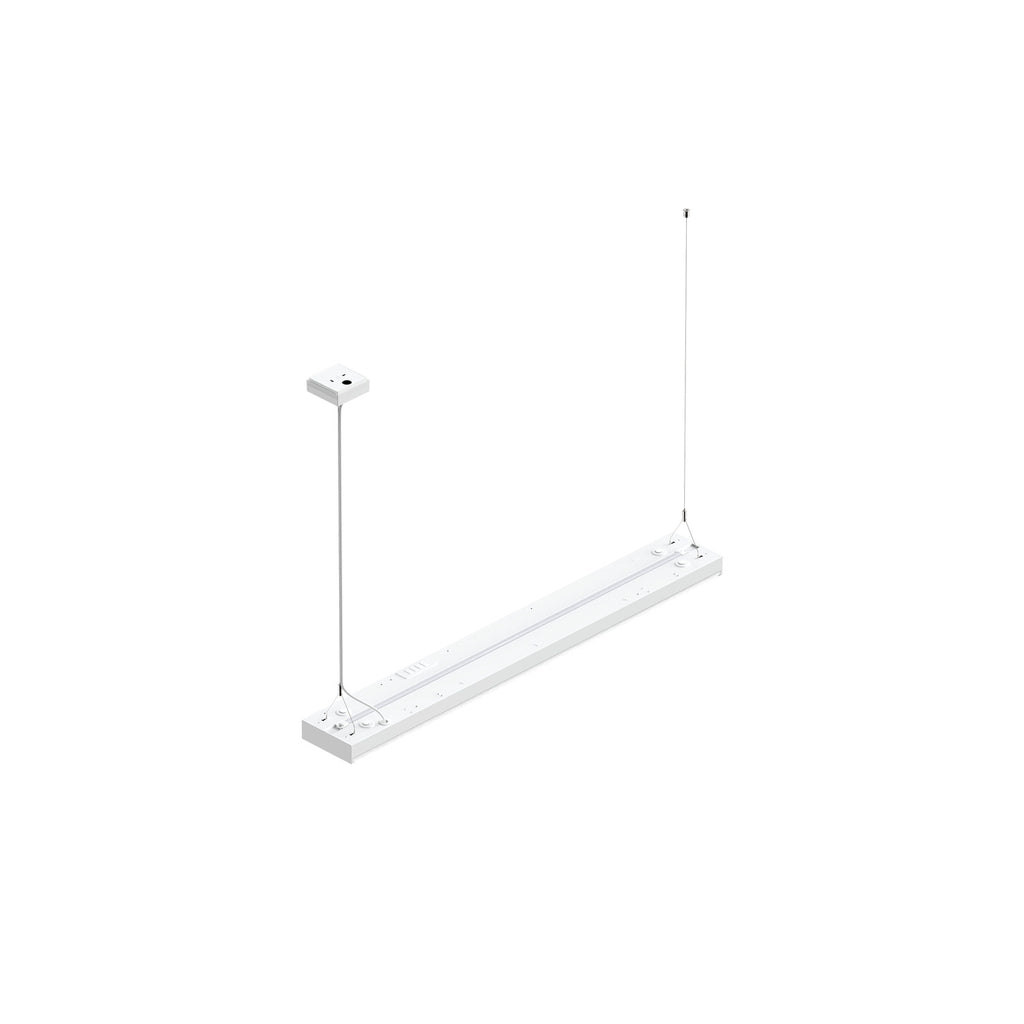 WORKLIGHT P LINE, 1200 52 830/840 WB ML DALI DT8 WH
