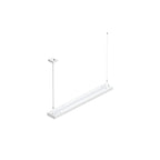 WORKLIGHT P LINE, 1200 52 830/840 WB ML DALI DT8 WH