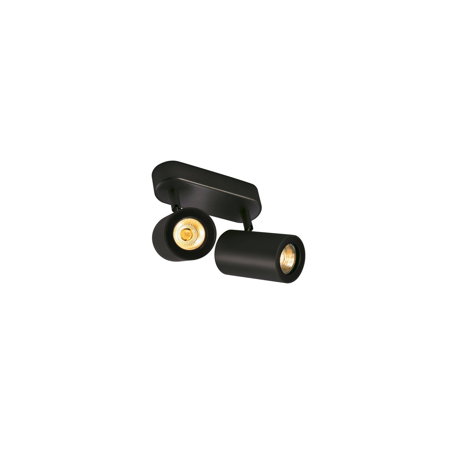 ENOLA_B, luminária de parede e de teto, foco, duas lâmpadas, QPAR51, preto, máx. 100 W